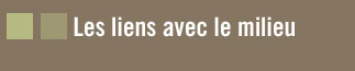 Les liens avec le milieu